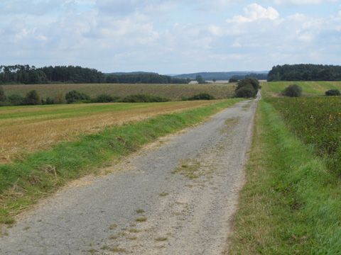 Foto 39